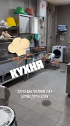 YouCut20250623113353385.mp4