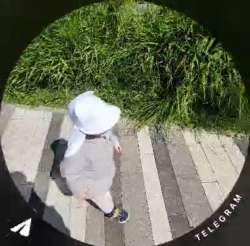 1750671489166.jpg