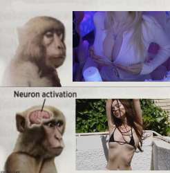 1750682645993.png