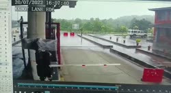 17411653682893.mp4