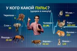 1750702343296.png