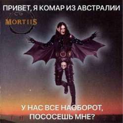 Без названия