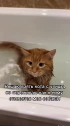 miouwgirl-20250617-0001.mp4