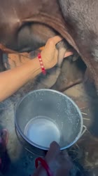 Stop eating fake Paneer 😱😱 #shorts #shortsfeed-ZoYTU69aNt8.mp4