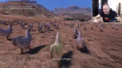 1665632554750.mp4