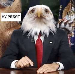 17506151264781.png