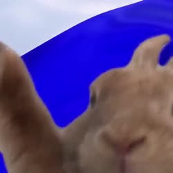qFbwsSGv.mp4