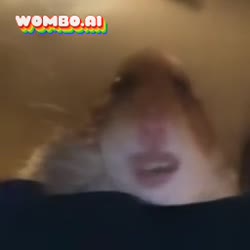 хомяк всё будет хорошо.mp4