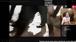 16980760157410.mp4
