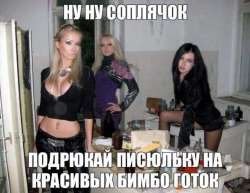 IMG4248.png