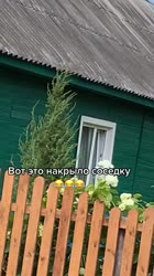 16334439108440.mp4