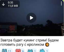 IMG20250625211959.jpg