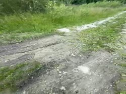 7726167055624A2226B-18E0-4C26-98DF-1EC83034B597.MOV