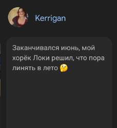 Screenshot20250626120831Chrome.jpg