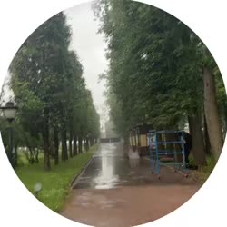 video (4).mp4