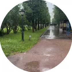 video (7).mp4