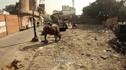 Дворик Прадена.mp4