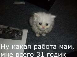1722676997340.jpg