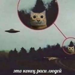 17344987052100.jpg