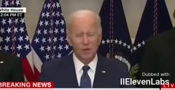 17500260151750.mp4