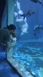 He loves this aquarium.mp4