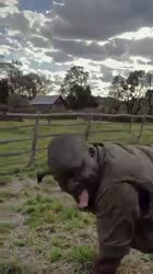 bbc.mp4