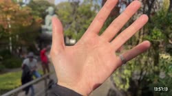 hands - Twitch.mp4