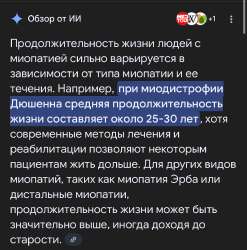 IMG1243.jpeg