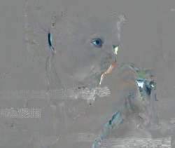 17475789082420.png