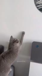 1619604520226.mp4