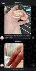 IMG3772.jpeg