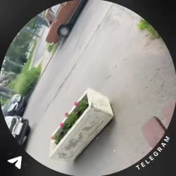 17514548938570.mp4