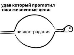 1703403249116.jpg