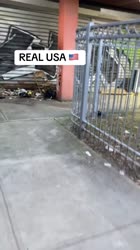 488513447-103046216-1.mp4