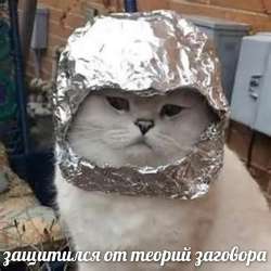 1637242879117178314.jpg