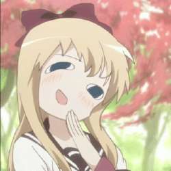 17309699532530.gif