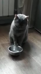 567575.mp4