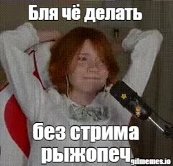 meme.gif.mp4