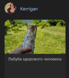 Screenshot20250628140321Chrome.jpg