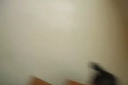 video2025-06-2800-27-42.mp4