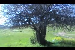 Clav.mp4