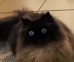 1599343477600.png