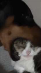 1602298095729.png