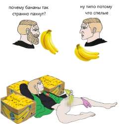 17497827298040.jpg