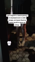 1751126127178.mp4