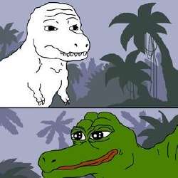 .jpg