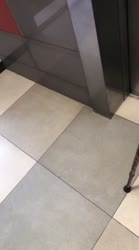 -2749681389143671760.mp4