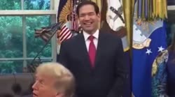 3.mp4
