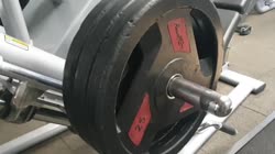 17346939277030.mp4