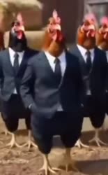 чт.webm
